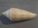 CONIDAE CYLINDER GLARIAMARIS GF