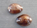 CYPRAEA MONETARIA CAPUTSERPENTIS XL