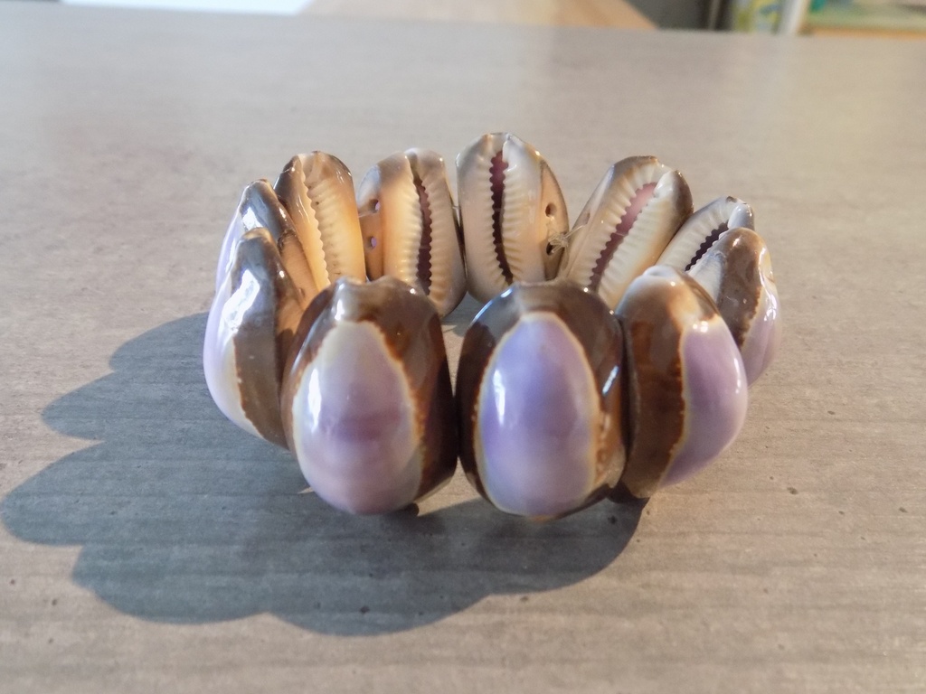 Artisanat - Bracelet coquilles Cypraea poli mauve